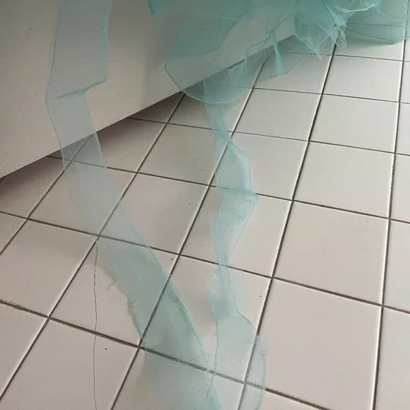 Morilee Vizcaya Quinceanera Corset Fairytale Dress Ball Gown 89174 *Note Cond - Picture 5 of 15